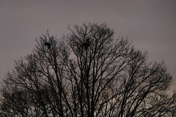 Sonnenaufgang am 17.03.2024