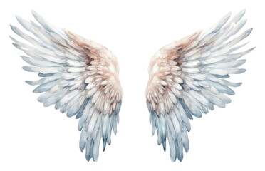 Fototapeta premium PNG Wings flying angel white