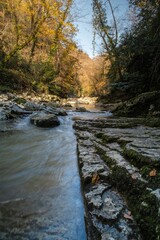 mountain river in a forest canyon, rocky river