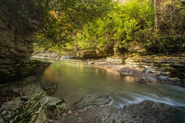 Fototapeta premium mountain river in a forest canyon, rocky river
