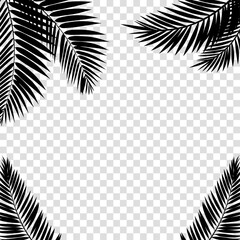 Palm Leaves on Transparent Background