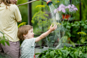 Teenage girl and her toddler brother watering various vegetables in a greenhouse on sunny summer...