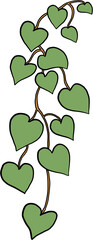 ivy plant drawing illustraivy plant drawing illustration.tion.
