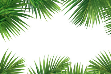 PNG Palm leaves border backgrounds outdoors nature