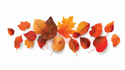 Composition of autumn leaves Isolated on a white background