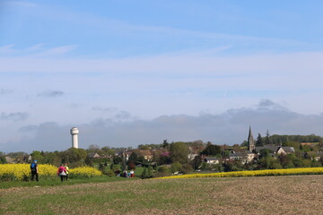 Houssay et les colzas