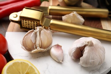 Different fresh ingredients for marinade and garlic press on table, closeup