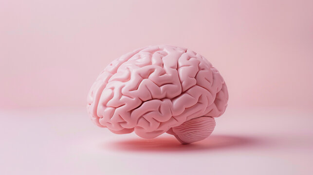 A pink brain is shown on a pink background