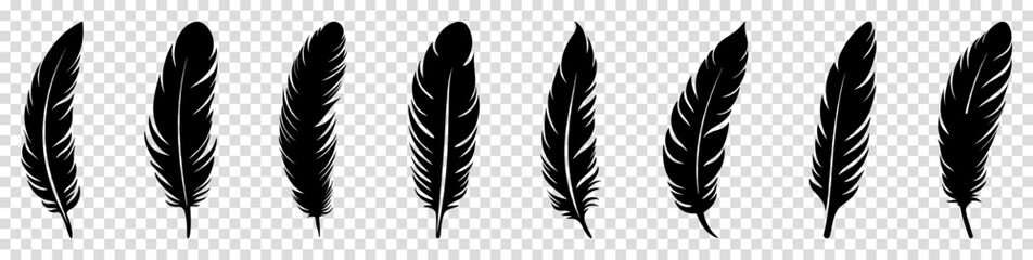 Set of bird feather icons. Platelet collection. Vector illustration isolated on transparent background - obrazy, fototapety, plakaty