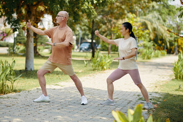 Mature man and woman doing tai chi exercises in city park in the morning - 786570510