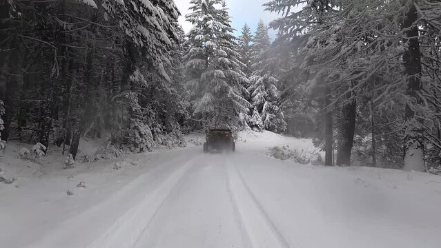 A red and black ATV is driving through a snowy forest. The driver is likely enjoying the thrill of the ride and the beautiful winter scenery