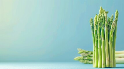 Asparagus A photorealistic illustration against pastel blue background with copy space for text or logo, beautifully illuminated by studio lighting 