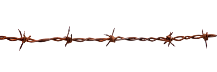 PNG Rusty barbed wire white background forbidden fence