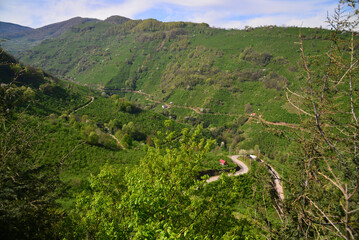 A panorama view from the Toptepe Observation Deck in Duzce, Turkey (Efteni Lake)