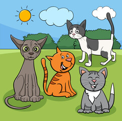 cats animal characters in the meadow cartoon illustration