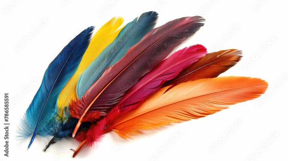 Poster Vibrant feathers displayed on a clean white background. Suitable for various design projects