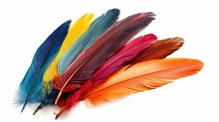 Vibrant feathers displayed on a clean white background. Suitable for various design projects
