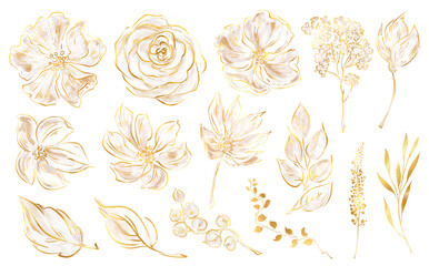 Set watercolor elements of white flowers, leaves, gold branches, Botanic illustration clipart, gentle gold and white flower, Decorative elements, minimal style linear gold flowers png. 