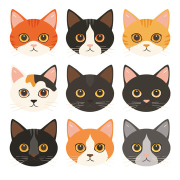 Set of different cat breeds isolated on white. Vector illustration for design. 
