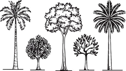Minimal line drawing tree set for architecture and landscape vector design