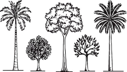 Fototapeta premium Minimal line drawing tree set for architecture and landscape vector design