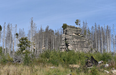 Die Feuersteinklippe im Harz bei Schierke 