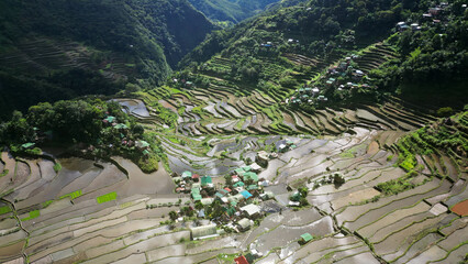 Batad Rice Terraces in Philippines - 786590997