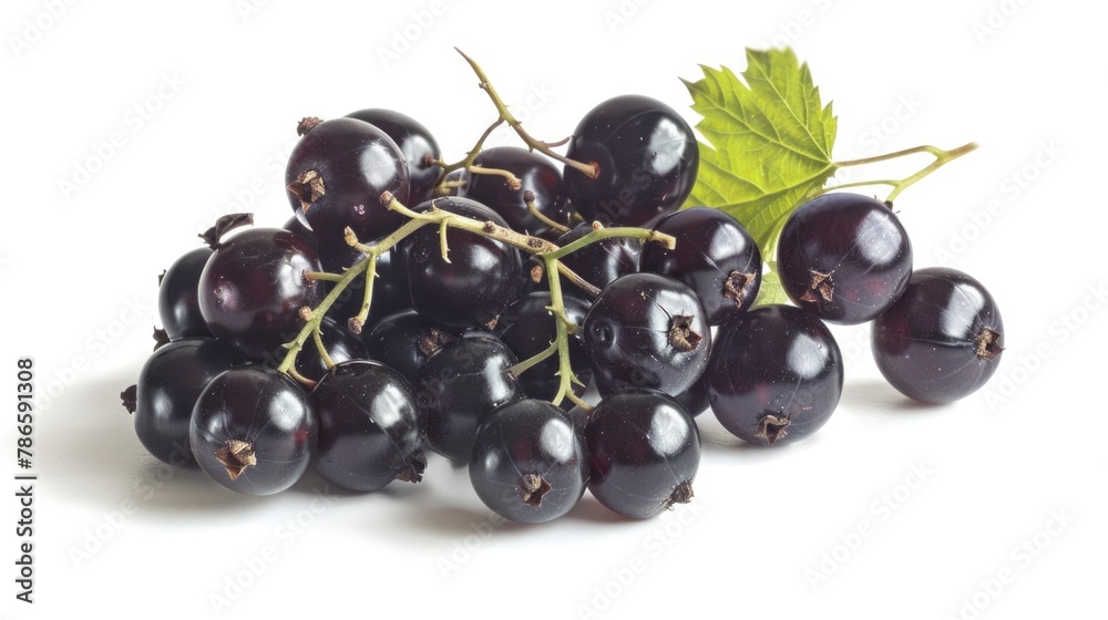 Sticker Fresh black grapes with leaves, perfect for food and wine-related designs