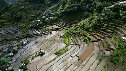 Batad Rice Terraces in Philippines - 786591390