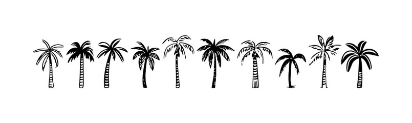 Hand drawn palm tree doodle element set. Black and white hawaiian clipart, isolated summer vacation collection in vintage art style. Tropical plant painting illustration bundle.   © Dedraw Studio