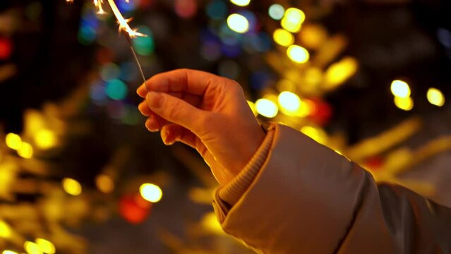  a woman's hand holds a lit sparkler in the evening against the background of an elegant Christmas tree in winter in the park