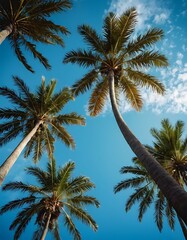 Fototapeta na wymiar Palm trees, summer beach mood, blue sky, vertical background, upward camera angle, holiday vacation