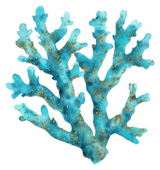 PNG Turquoise coral reef turquoise water invertebrate