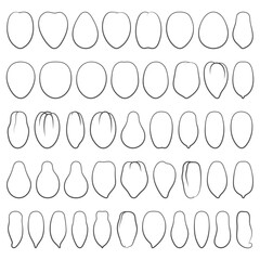 Set of black and white illustrations with tomatoes. Isolated vector objects on white background. - 786600307