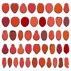 Set of color illustrations with red tomatoes. Isolated vector objects on white background. - 786600309