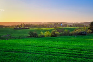Küchenrückwand glas motiv Landscape of the green fields in northern Poland at spring time. © Patryk Kosmider