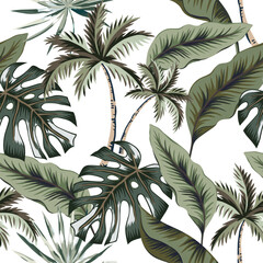 Tropical green monstera, banana leaves, palm trees, white background. Vector seamless pattern. Floral illustration. Exotic plants. Summer beach design. Paradise nature