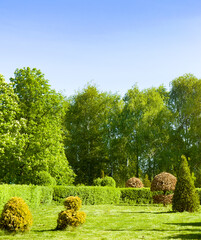 Landscaped park with a garden bed and various trees and shrubs on the lawn, evergreens and seasonal plants.