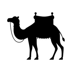 Camel silhouette flat illustration on isolated background
