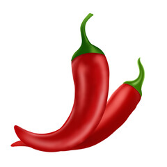 Chili pepper close-up wit transparent  background.