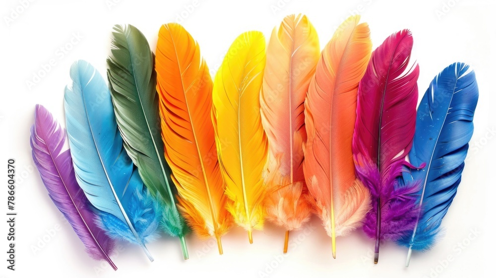 Poster Vibrant feathers in various hues, perfect for adding a pop of color to your projects