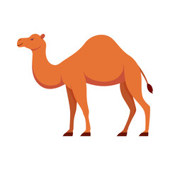 Flat illustration of camel on isolated background