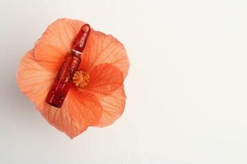 Skincare ampoules and hibiscus flower with water drops on white background, top view. Space for text
