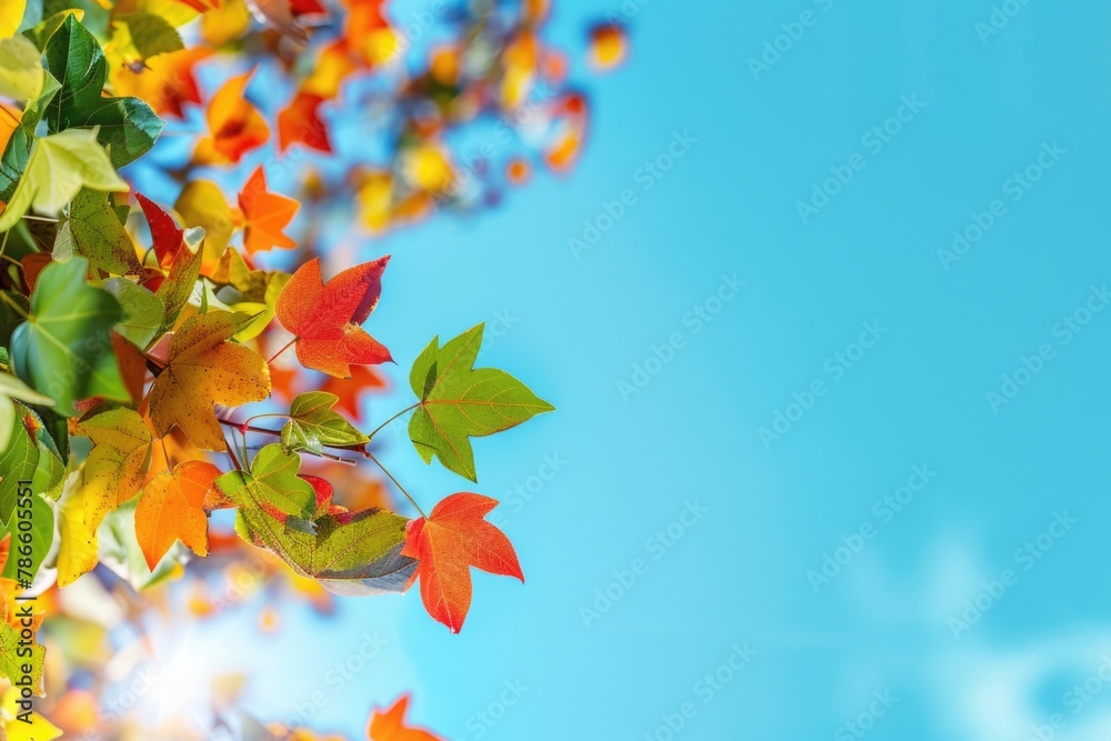 Poster Close-up of green leaves on a tree, perfect for nature backgrounds