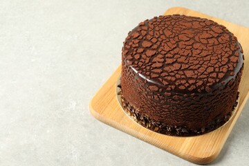 Fototapeta na wymiar Delicious chocolate truffle cake on light grey table, space for text