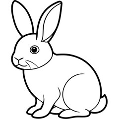 white rabbit isolated on white background