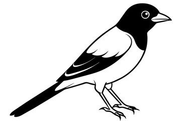 Broadbill line art vector silhouette