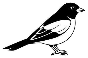 Broadbill line art vector silhouette
