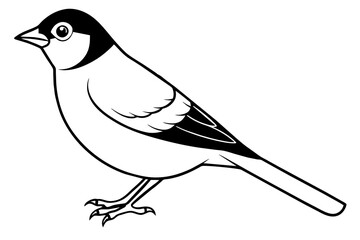 Broadbill line art vector silhouette