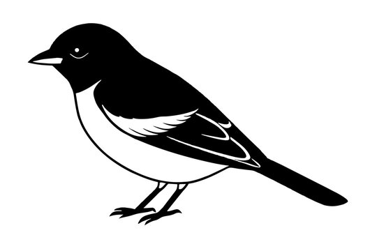 recommend clip art: Broadbill line art vector silhouette
